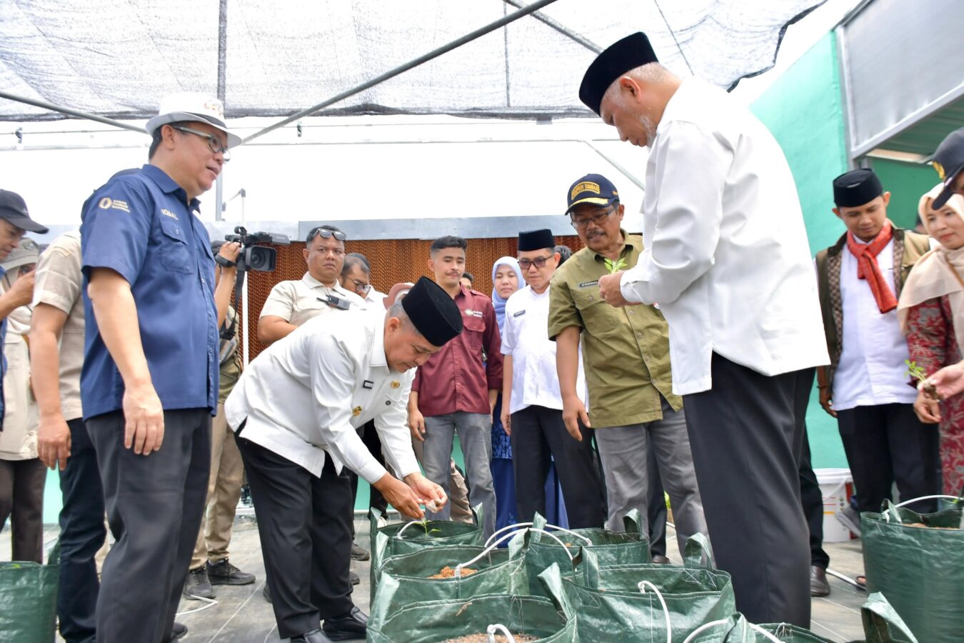Screenhouse Rp472 Juta Hadir di Agam, Petani Milenial Siap Kembangkan Cabai Modern