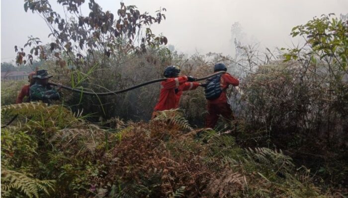 Karhutla Kalimantan Makin Mengganas, 12.880 Personel dan Puluhan Pesawat Dikerahkan