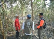 Karhutla Banjar Kembali Mengancam, Lahan Gambut 36 Hektare Masih Berasap meski Api Padam