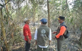 Karhutla Banjar Kembali Mengancam, Lahan Gambut 36 Hektare Masih Berasap meski Api Padam