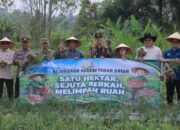 Tanah Datar Panen Raya Bawang Merah di Pariangan, Stok Aman Harga Stabil