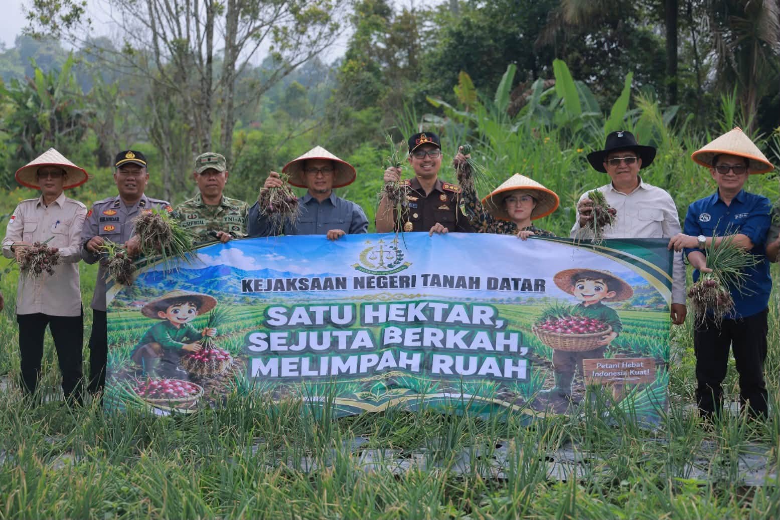 Tanah Datar Panen Raya Bawang Merah di Pariangan, Stok Aman Harga Stabil