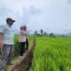 Riset Unand Ungkap Beda Strategi Petani Sumbar dan Sulsel Hadapi Krisis Iklim
