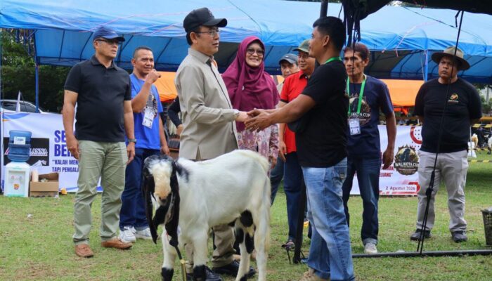 Kontes Kambing Etawa Payakumbuh 2026: Strategi Wako Zulmaeta Dongkrak Ekonom