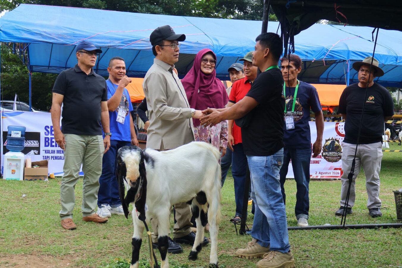 Wali Kota Payakumbuh Zulmaeta Buka Kontes Kambing Peranakan Etawa 2026