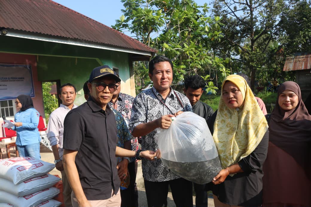 KKP Sebar 101 Ribu Benih Lele untuk Korban Bencana di Padang