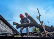 Update Banjir Padang: Pohon Tumbang, 74 Titik Dilanda Banjir, Bukit Lampu hingga Batu Busuk Longsor