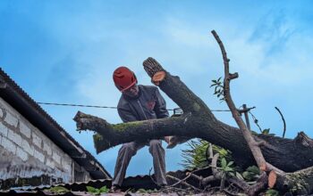 Update Banjir Padang: Pohon Tumbang, 74 Titik Dilanda Banjir, Bukit Lampu hingga Batu Busuk Longsor