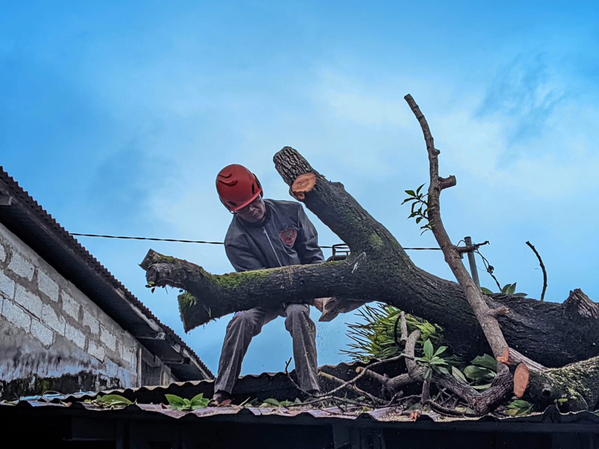 74 Titik Dilanda Banjir, Bukit Lampu hingga Batu Busuk Longsor