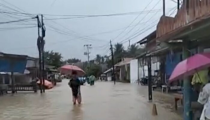 Kecamatan Bungus Teluk Kabung Dikepung Banjir Luapan Sungai, 5 Kelurahan Terendam