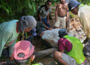 Sawah Kuranji-Pauh Terancam Kering, PUPR Padang Gerak Cepat Perbaiki Irigasi Rusak