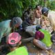 Sawah Kuranji-Pauh Terancam Kering, PUPR Padang Gerak Cepat Perbaiki Irigasi Rusak