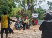 Banjir Padang Hari Ini: Warga Kampung Tanjung Kuranji Terjebak dan Berhasil Dievakuasi