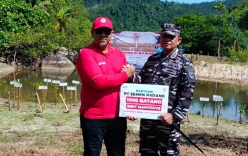 1.000 Mangrove Ditanam di Pantai Manjuto Pesisir Selatan, Semen Padang dan TNI Perkuat Benteng Alami dari Abrasi