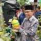 PLN Dukung Urban Farming Padang, Produksi Melon Mego Hydrofarm Capai 1,1 Ton per Bulan