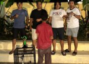 Curi Burung Kacer Rp5 Juta, ABH 16 Tahun Diciduk Tim Klewang Polresta Padang
