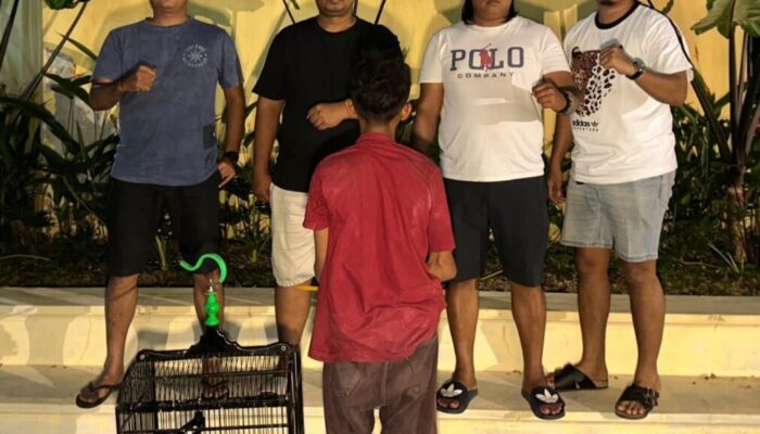 Curi Burung Kacer Rp5 Juta, ABH 16 Tahun Diciduk Tim Klewang Polresta Padang