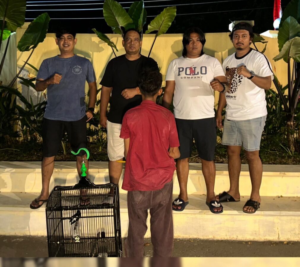 Curi Burung Kacer Rp5 Juta, ABH 16 Tahun Diciduk Tim Klewang Polresta Padang