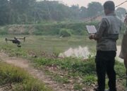 Batang Siat Menghitam, DLH Sumbar Periksa Dua PKS di Dharmasraya