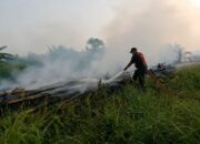 Kolaborasi Lintas Sektor Tekan Risiko Karhutla di Dharmasraya
