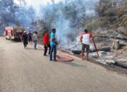 Karhutla 3 Hektare di Siguntur Dharmasraya Berhasil Dikendalikan, Api Sempat Merembet ke Kebun Karet