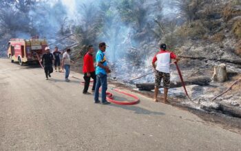 Karhutla 3 Hektare di Siguntur Dharmasraya Berhasil Dikendalikan, Api Sempat Merembet ke Kebun Karet