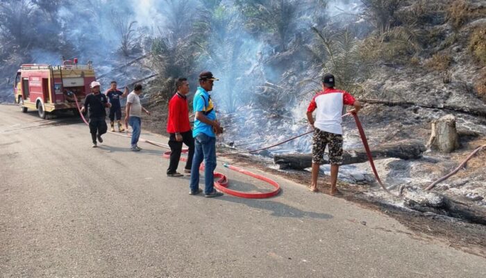 Karhutla 3 Hektare di Siguntur Dharmasraya Berhasil Dikendalikan, Api Sempat Merembet ke Kebun Karet