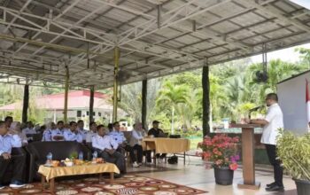 BPBD Sawahlunto Petakan 4 Faktor Pemicu Banjir dan Longsor, Mitigasi Diperkuat