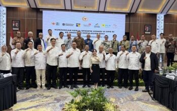 Andre Rosiade Dorong Batam Jadi Pusat Data Center, Pasokan Gas PLN Jadi Perhatian