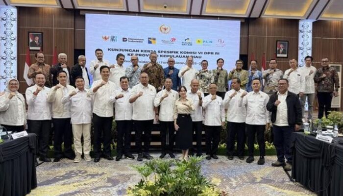 Andre Rosiade Dorong Batam Jadi Pusat Data Center, Pasokan Gas PLN Jadi Perhatian