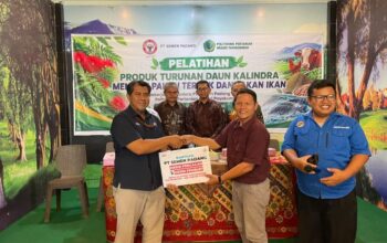 Petani Aur Malintang Sulap Kaliandra Jadi Pakan, Semen Padang Bantu Mesin Pencacah dan Pelet