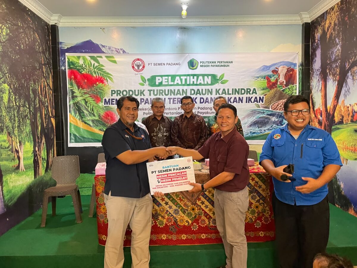 Petani Aur Malintang Sulap Kaliandra Jadi Pakan, Semen Padang Bantu Mesin Pencacah dan Pelet