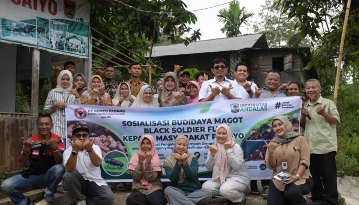 Sampah Jadi Cuan! Padayo Disiapkan Jadi Sentra Budidaya Maggot BSF
