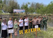 TNI Tanam 1.000 Mangrove di Pesisir Padang Pariaman Bentengi Pantai Batang Gasan