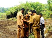 Dukung Program Presiden Prabowo, Pemkab Pasbar Siapkan Lahan Sekolah Rakyat dan Jembatan Rp6 Miliar
