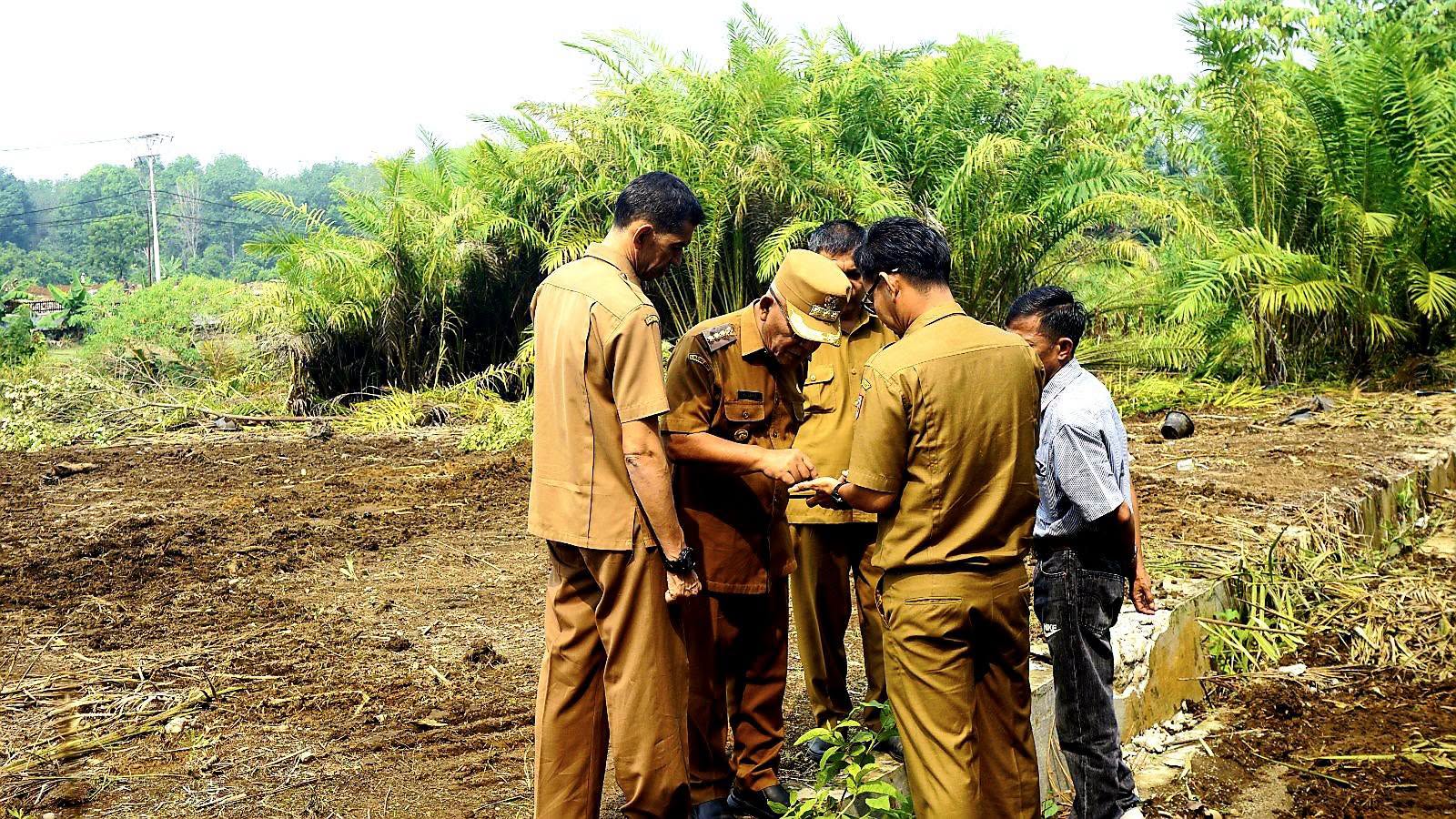 bupati pasbar tinjau lokasi lahan sekolah rakyat