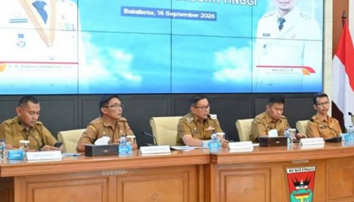 Agresif dan Telah Memakan Korban Pawang, Pemko Bukittinggi Desak BKSDA Evakuasi Gajah Zidan