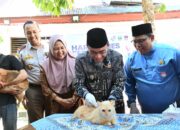 53 Kasus Rabies di Sumbar, 421 Anjing dan Kucing di Padang Sudah Divaksin